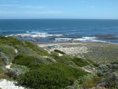 07-View of Cape of Good Hope